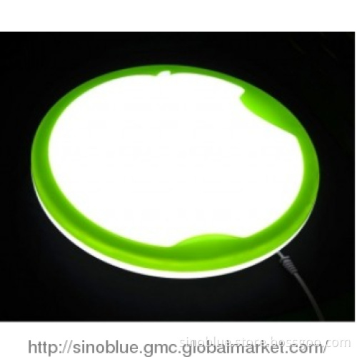 Apple  LED ceiling light